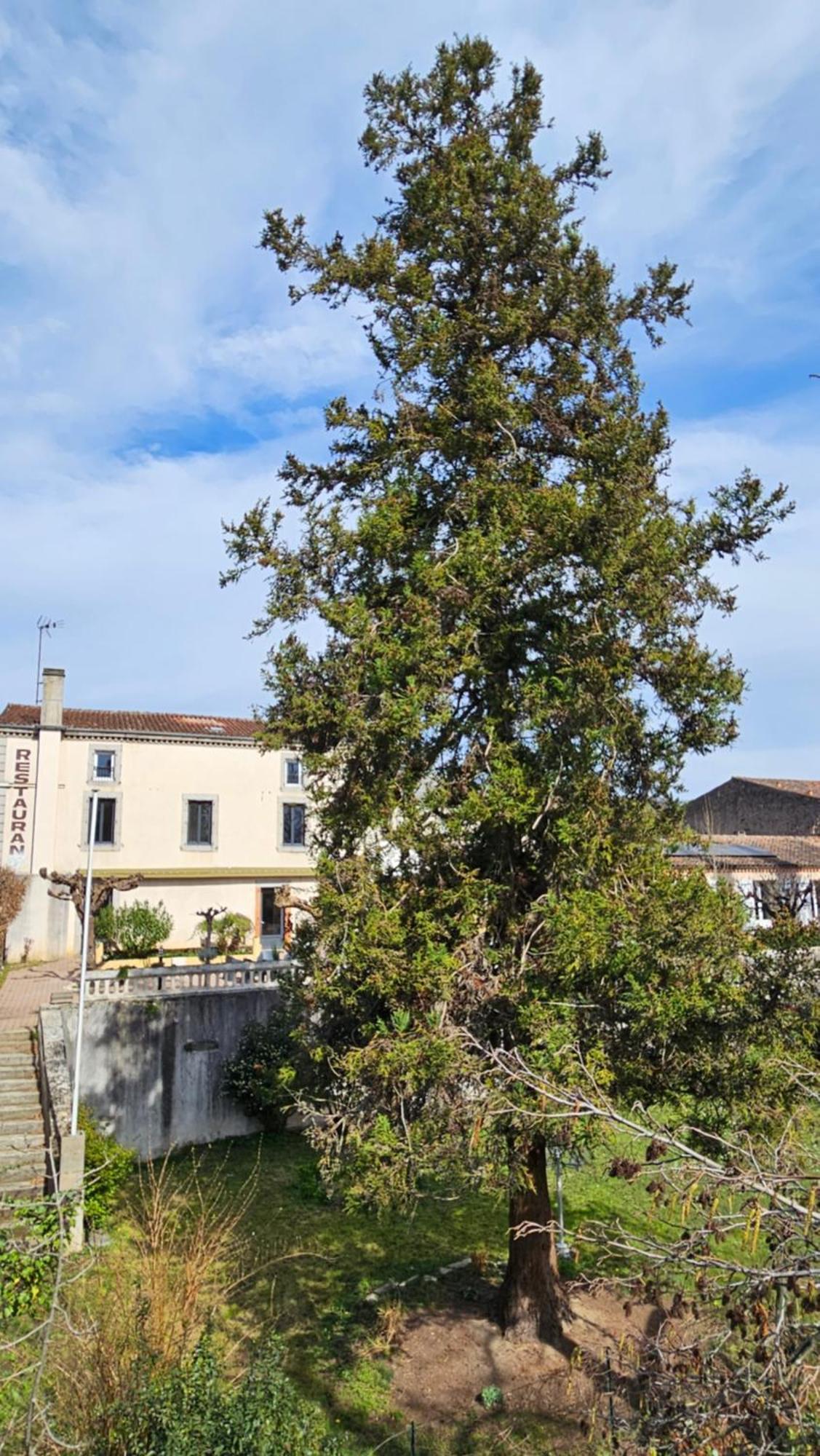 Villa Coliv'Castres Burlats Exterior foto